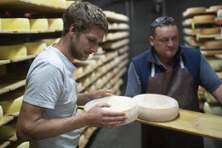 En Valais, 37 millions de kg de lait sont produits annuellement, dont 28 millions qui partent en fabrication fromagère.